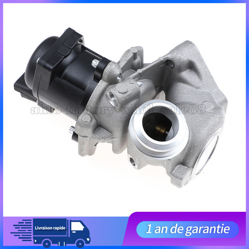 Vanne EGR pour for Peugeot 207 307 308 407 1.6Hdi 90cv 110cv for CITROEN C3 C4 C2 161859