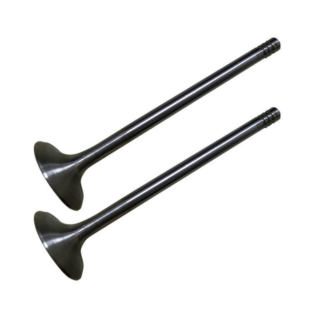 Engine Valves Set for BMW X5 X6 750i F06 F12 F13
