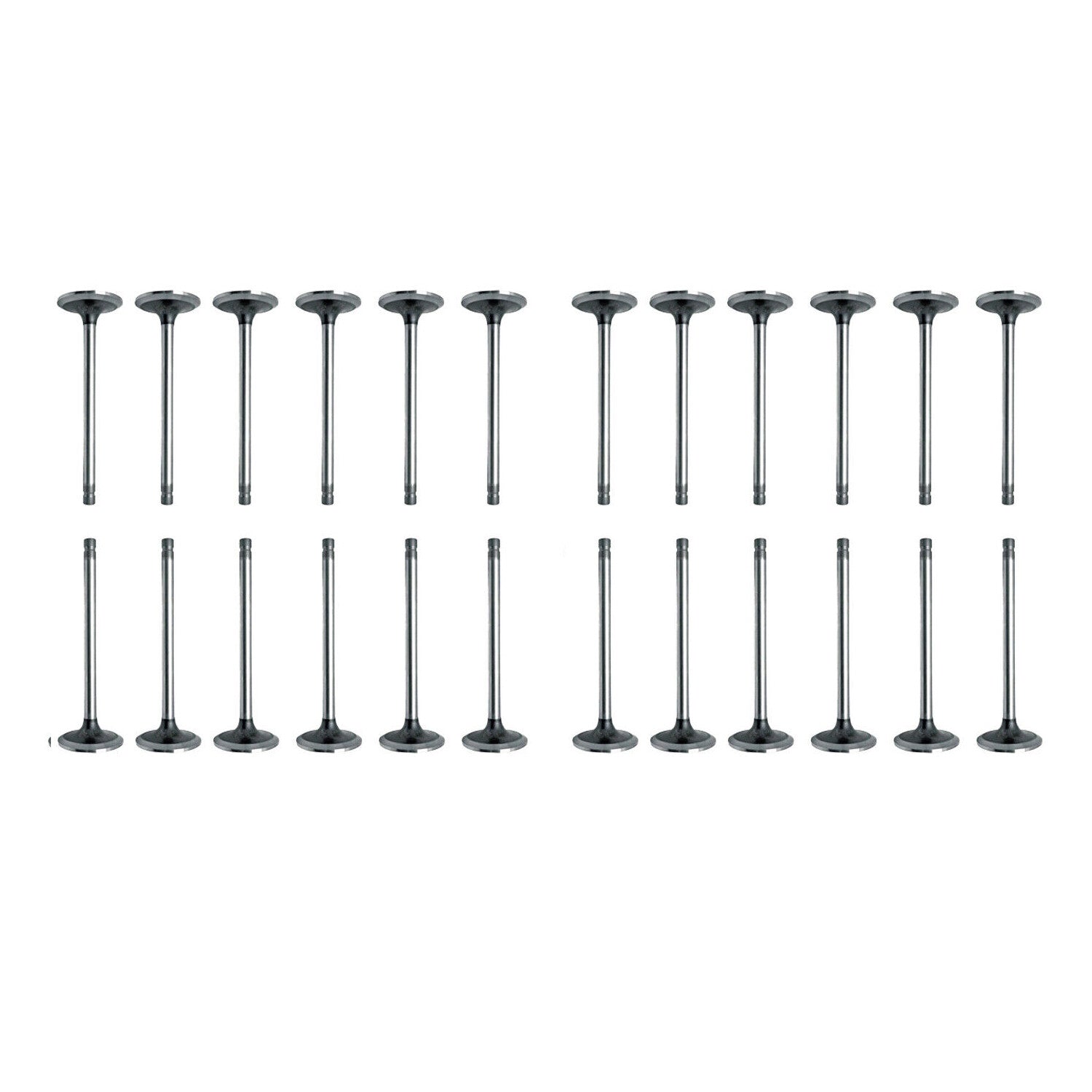 24PCS Intake/Exhaust Valve Kit for Land Rover Discovery XF 306DT 3.0 D 1311281