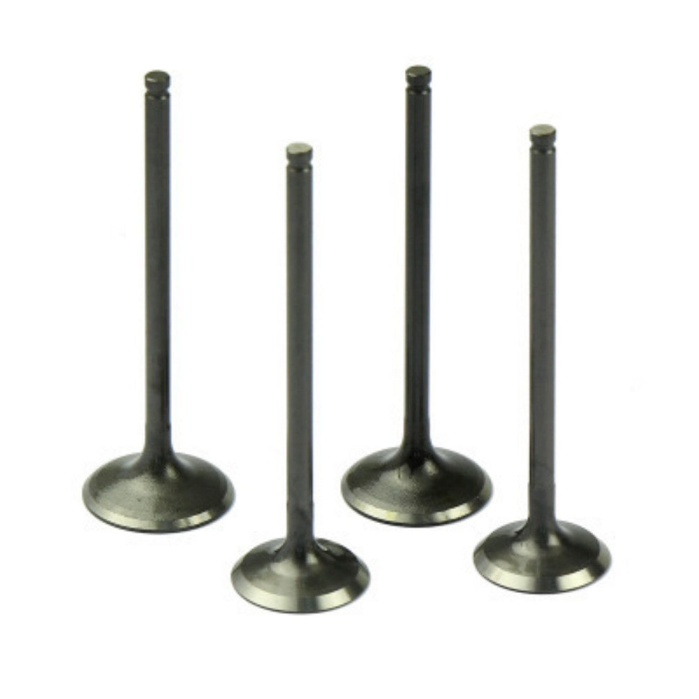 Intake Valve for Mercury Cougar '99-'02
