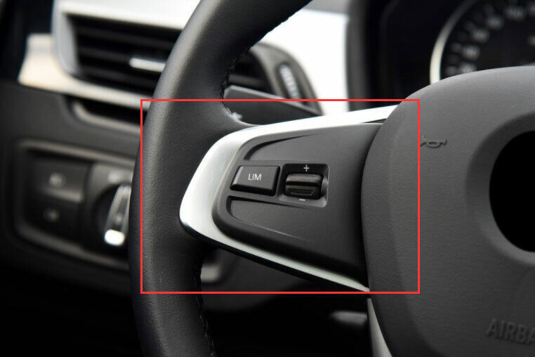 Fit for BMW X1 F48 2016-2022 Wood Grain Front Steering Wheel Frame Cover Trim 3P